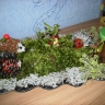 Полянка для ежей Полянка для ежей