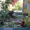 Осенний лес Осенний лес