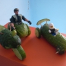 Военная техника Военная техника