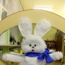 Зайчик Зайчик