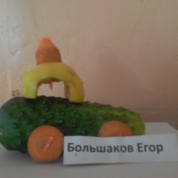 Экомобиль Экомобиль