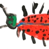 Улитка Улитка