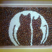 кошечки кошечки