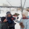 Кормушка для пичужки Кормушка для пичужки