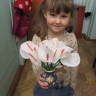 Каллы Каллы