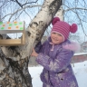 Домик для пернатых Домик для пернатых