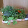 Лесной житель Лесной житель
