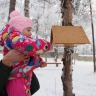 Домик для птичек Домик для птичек