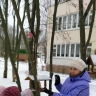 Покормим птиц Покормим птиц