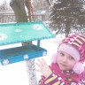 Столовая для птиц Столовая для птиц