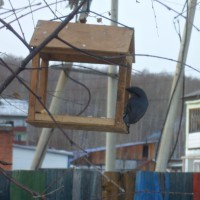 кормушка для птиц кормушка для птиц