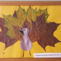 Осенний павлин Осенний павлин