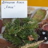 "Ёжик" "Ёжик"