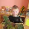 На лесной полянке На лесной полянке