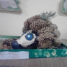 Ежик Ежик