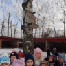 Кормушка для птичек Кормушка для птичек