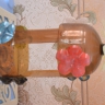 Кормушка для пичужки Кормушка для пичужки