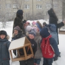 покормим пернатых покормим пернатых