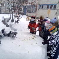 Птичья столова Птичья столова