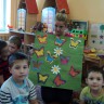 "Поляна бабочек". "Поляна бабочек".