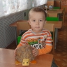 Черепашка Черепашка