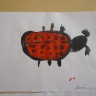 "Божья коровка" "Божья коровка"
