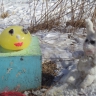 Сказка"Колобок" Сказка"Колобок"