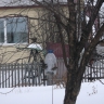 Птиц люблю я очень, им готов помочь я! Птиц люблю я очень, им готов помочь я!