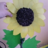 Подсолнух Подсолнух