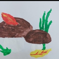 Подарки осени Подарки осени
