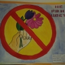 Не рви цветы