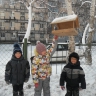кормушка для птиц кормушка для птиц