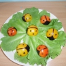 Божьи коровки Божьи коровки