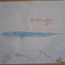 «Подводный мир» «Подводный мир»
