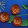 Одуванчики Одуванчики