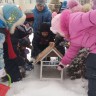 Кормушка для пичужки Кормушка для пичужки