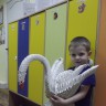 Белый лебедь Белый лебедь