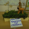 "Жираф и ежик" "Жираф и ежик"