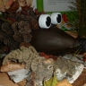 ежик ежик