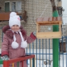 мы любим птичек. мы любим птичек.