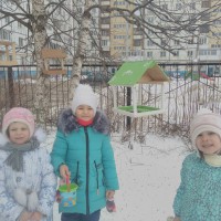 Кормушка для птиц Кормушка для птиц