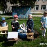 Столовая для пернатых Столовая для пернатых