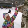 Поможем птицам зимой Поможем птицам зимой