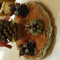 Совушки Совушки