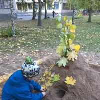 Замок осенних листьев Замок осенних листьев