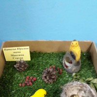 Птичье новоселье Птичье новоселье