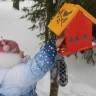 "Они остались зимовать, мы им будем помогать" "Они остались зимовать, мы им будем помогать"