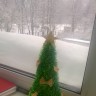 сказочная елочка сказочная елочка
