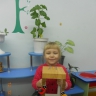 Столовая для птиц Столовая для птиц