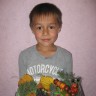 Ежики Ежики